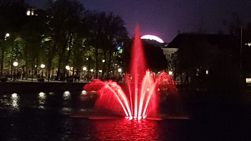 Buitenhof fountain during King's Night in The Hague